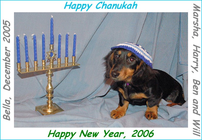 chanukah2005.jpg