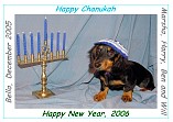 chanukah2005.jpg